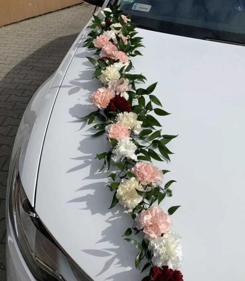 Taxiago – Blue Moon Rentals – Smooth Journeys Ahead 🚘