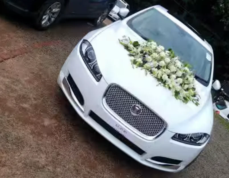 Apple Tours and Travels – Travel You Can Trust 🚐