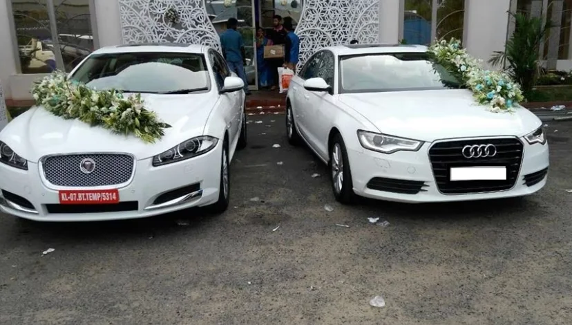 Sree Tours And Travels – Your Journey Begins Here 🚘