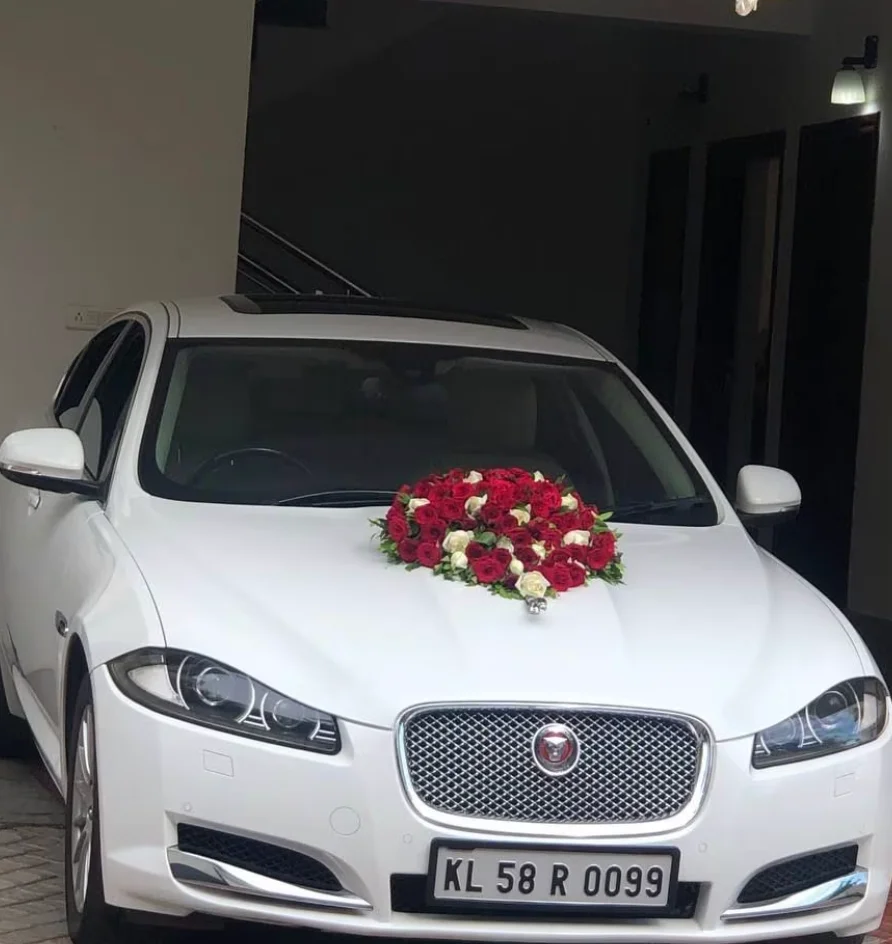 Altima Travels – Your Journey, Our Priority 🧳