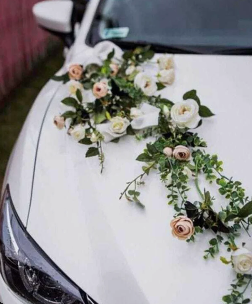 Taxiago – Blue Moon Rentals – Smooth Journeys Ahead 🚘